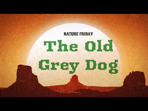 Play video on YouTube