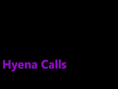 Hyena Calls