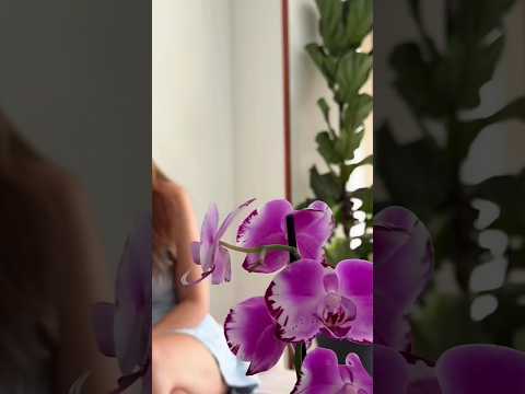 Jessica Quintero Rodriguez-141