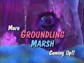 Don T Go Away More Groundling Marsh Coming Up