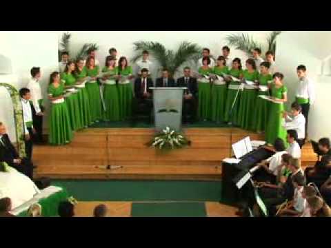 Ca un crin-Still (girls)