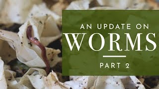Worm Farm  |  GARDEN  |  Hey It's A Good Life