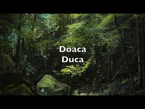 Parole più belle del Dialetto Emiliano - Most beautiful words of Gallo-Italic (Emilian variety).