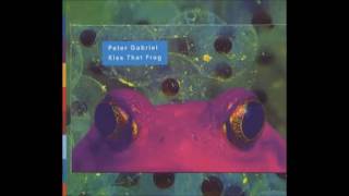 Peter Gabriel - Shaking the Tree (Bottrill remix)
