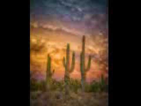 Cheap Red Wine video