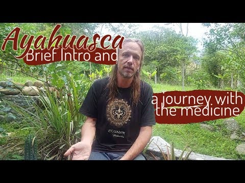 A Brief Introduction to Ayahuasca and a Journey with the Medicine (Aya tales pt.1)