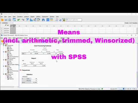 SPSS - Means
