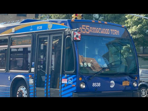 Q55 Bus Time