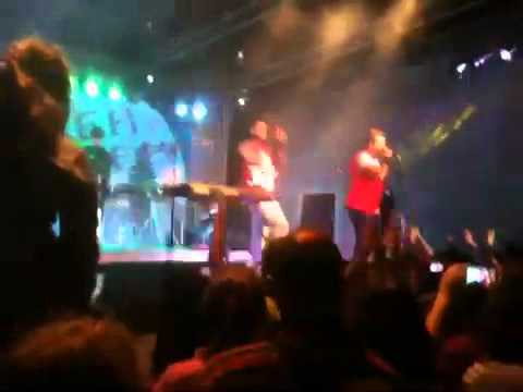 Grafa i bobo koncert v kavarna