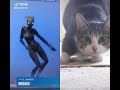 Wiggle It Out Cat