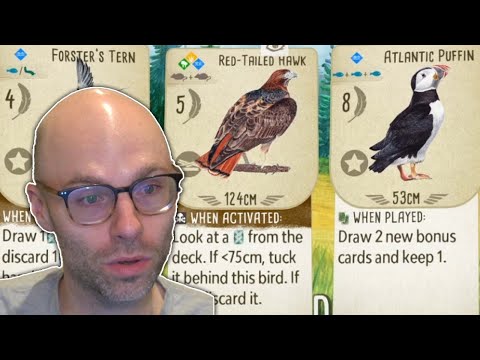 We played Wingspan for 2 hours (Wingspan)