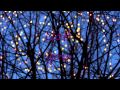 Coldplay - For You Lyrics 