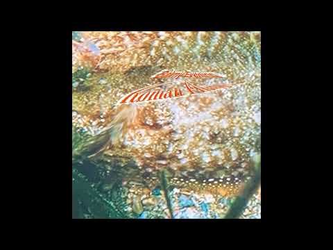 Roman Flügel - Duftschulter