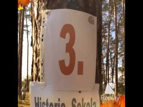 Zálesák Sokoleč 2015