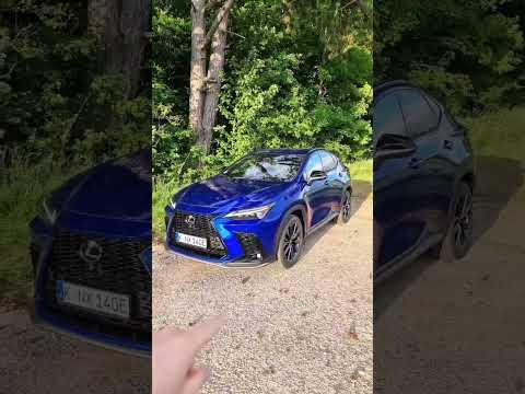 Lexus NX 450h+ Interior