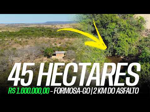 PROPRIEDADE RURAL DE 45 HECTARES EM FORMOSA-GO | 2 KM DO ASFALTO | R$ 1.600.000