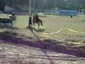 Jean And Sinclair Fleeing Felon Course
