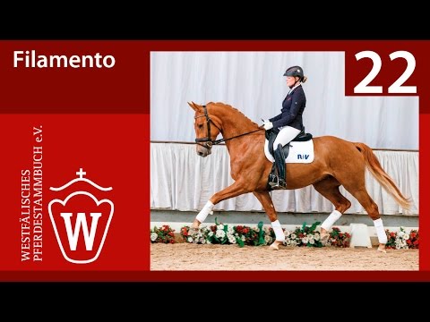 22 Filamento Wallach v. Fürst Piccolo - D'accord