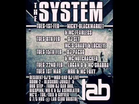 THE SYSTEM PRESENTS - NICKY BLACKMARKET & MC FEARLESS 1ST FEB 2011