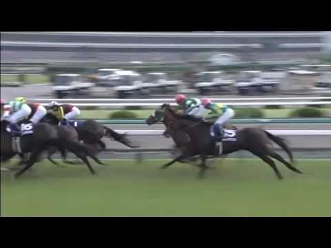 2016.06.26 Takarazuka Kinen (JPN) - Marialite
