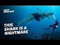 The Bizarre Ghost Shark Haunts The Deep Sea
