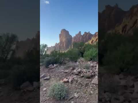 Back in the Canyon