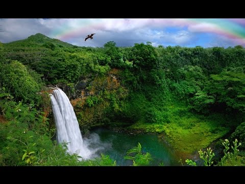 Водопады острова Кауаи. Гавайи, США. Wat