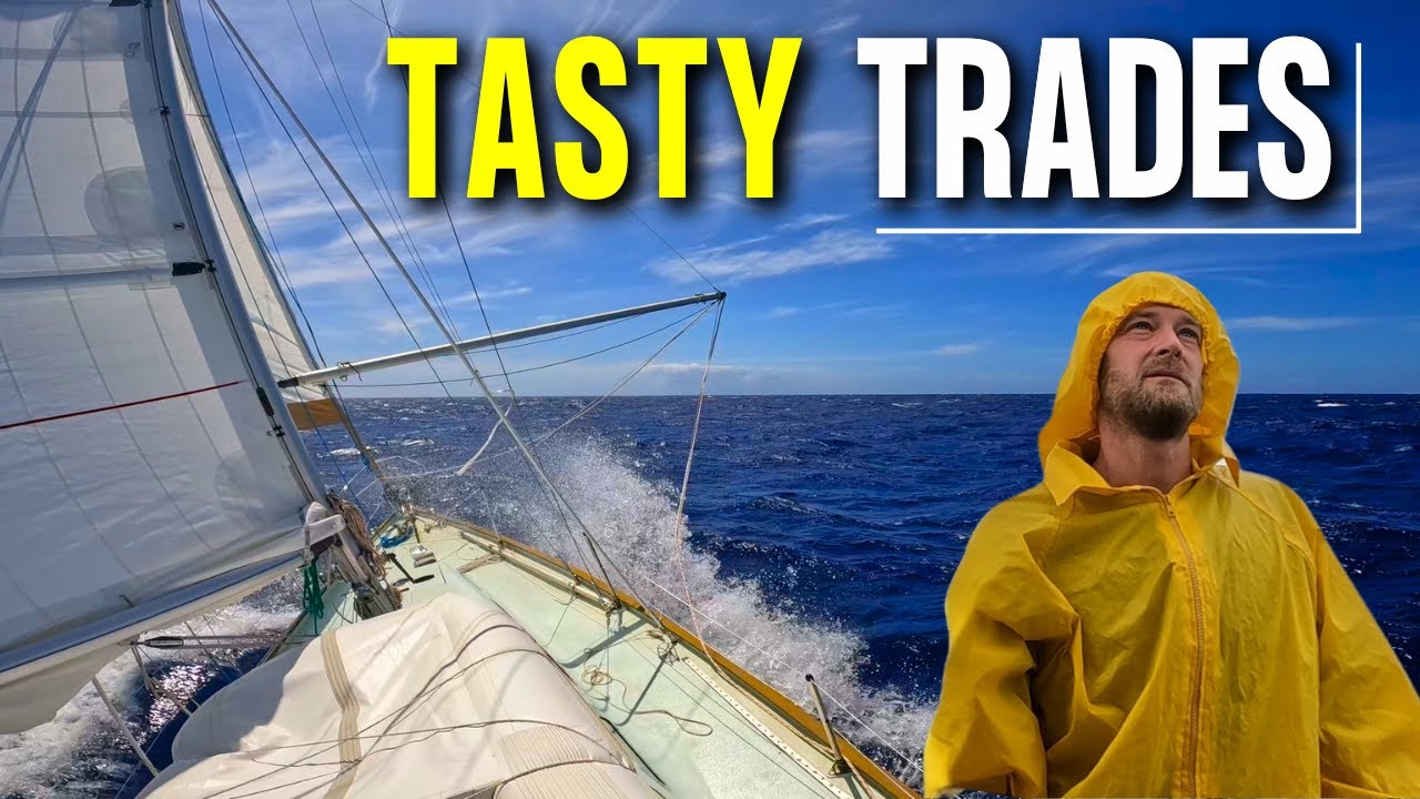 What Trade Wind Sailing Is Really Like + Heave To Testing