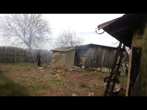 Un nebun din Jaristea,Vrancea