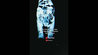 Download lagu story wa macan putih ll semangat #shorts #status #attitudestatus #motivation mp3 Download lagu story wa macan putih ll semangat #shorts #status #attitudestatus #motivation mp3