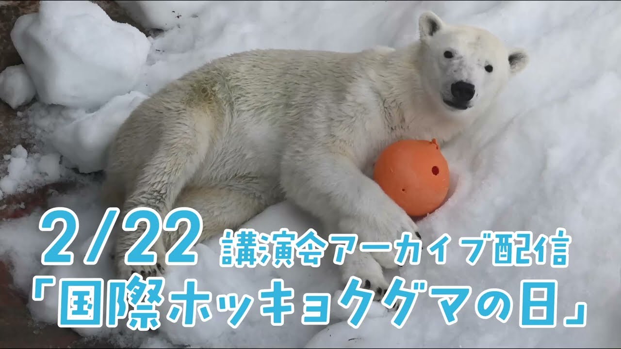 【アーカイブ】国際ホッキョクグマの日講演（2026年2月22日）