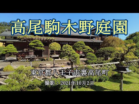 現代日本庭園 - 盆栽をどのように組み込むか?  庭園