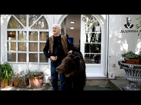 DEDOVINA INTERVJU: Kapetan Dragan u poseti medvedu