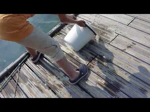 Emma, Paula & Max beim Krebsangeln