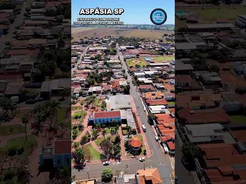 ASPÁSIA SP   SHORTS