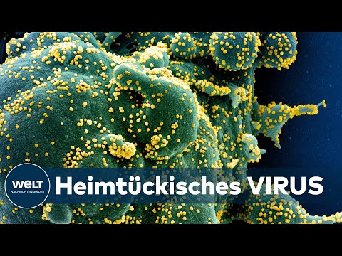 COVID-19-PANDEMIE: Der Coronavirus hat eine Schwäche
