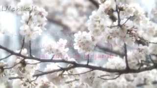 ❤Muchacho de campo - Voz de mando - Con letra❤