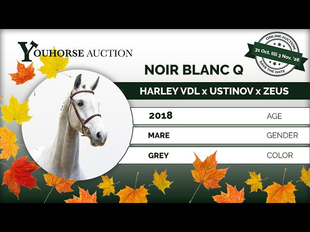Noir Blanc showvideo indoor