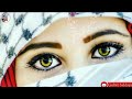 Unke Chehre Ki Ye Narmiya Border Emotional Whatsapp Status Gulrez Siddiqui