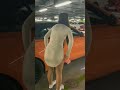 Nora Fatehi Nude Xxxx