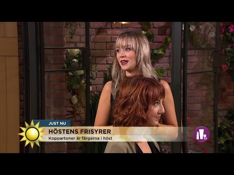 Rätt frisyr i höst - Nyhetsmorgon (TV4)