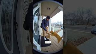 Download lagu This Cat Stole the Entire Delivery Order 💀 #Animals #Viral #Shorts mp3 Download lagu This Cat Stole the Entire Delivery Order 💀 #Animals #Viral #Shorts mp3
