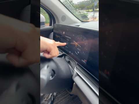 카니발 경고등 파티 무엇...?