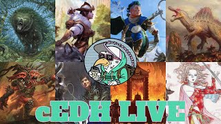 My Broadcast
