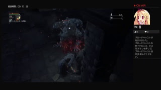 bloodborne speed run  practice
