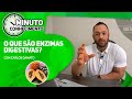 O QUE SÃO ENZIMAS DIGESTIVAS?