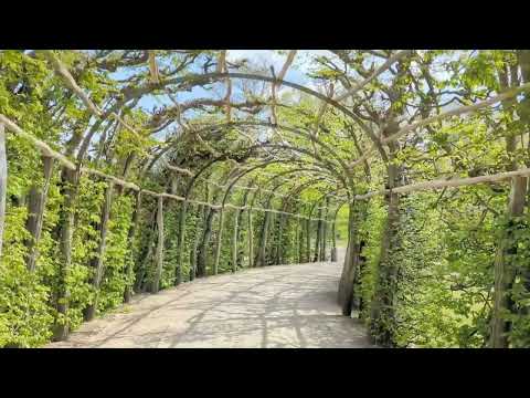 Spring Awakening In The Sicilian Landscape Garden Of Sanssouci Palace In Potsdam, Germany (HD)
