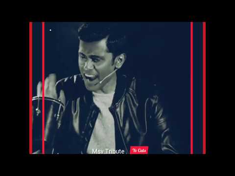 MSV TRIBUTE from ALEX IN WONDERLAND - Standup Comedy