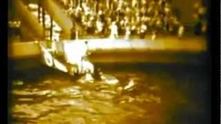 R. Stevie Moore ~ Here Comes Summer Again (1977)