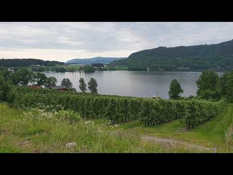 I WENT TO FISKUMVANNET, BUSKERUD COUNTY, NORWAY